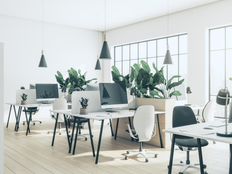 The Neuroscience of Learning: How Your Brain Actually Learns (and How to Use It)